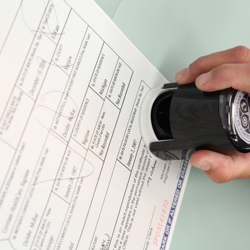 Birth Certificate Example